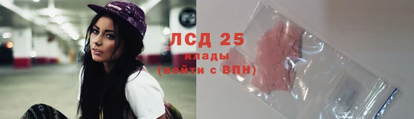 индика Абаза