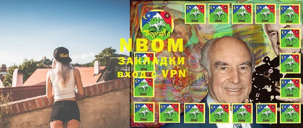 индика Абаза