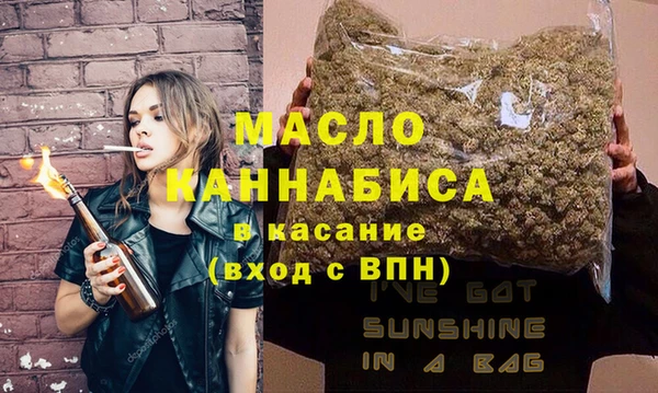 индика Абаза