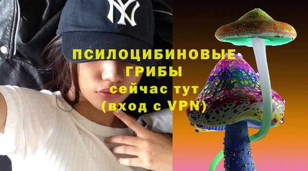 индика Абаза