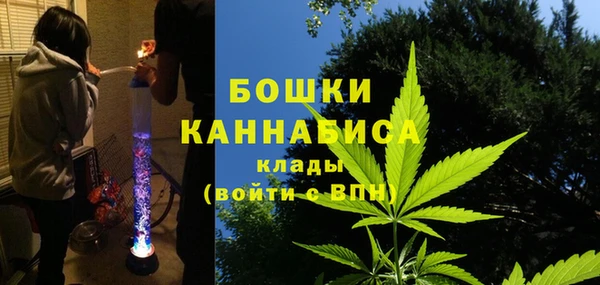 индика Абаза