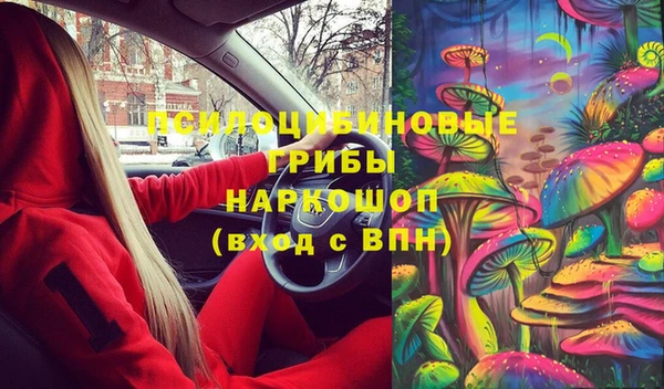 apvp Магас