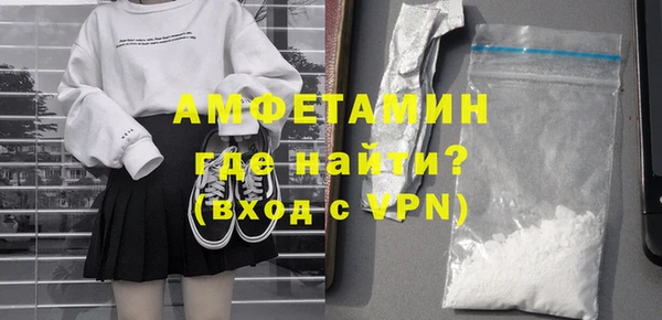 индика Абаза